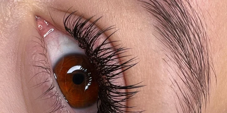 Uhrančivý pohled: prodloužení řas metodou řasa na řasu či 2D-4D vč. výživy