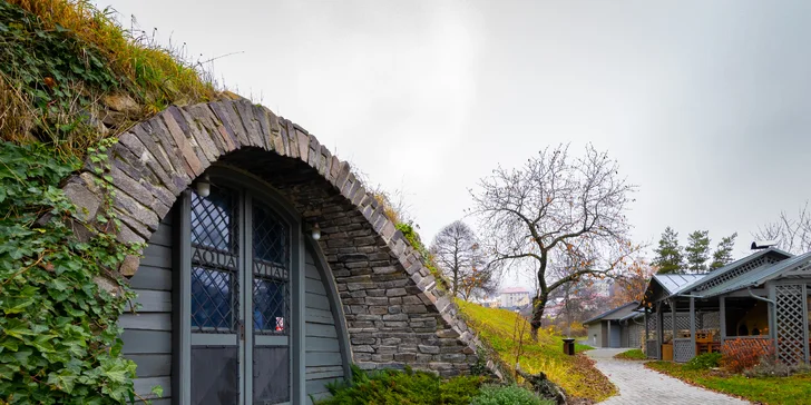 Pobyt v luxusní Vile Magnolia v širším centru Banské Štiavnice s privátním wellness