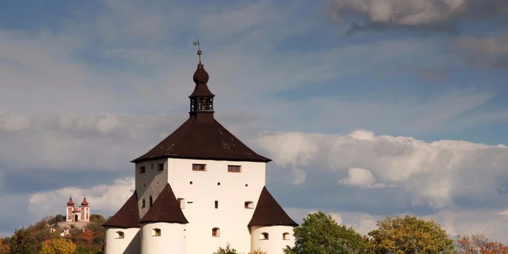 Pobyt v luxusní Vile Magnolia v širším centru Banské Štiavnice s privátním wellness