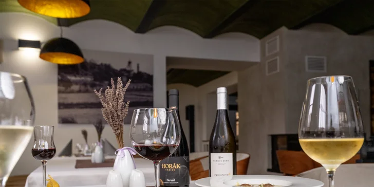 4chodové degustační menu s možností vinného párování v restauraci Jan Maria