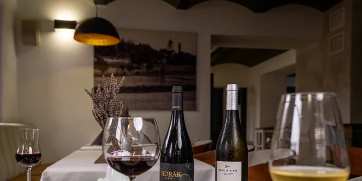 4chodové degustační menu s možností vinného párování v restauraci Jan Maria