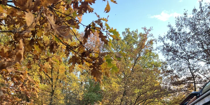 Půl hodiny řízení offroad vozu pro děti: Mercedes G nebo Ineos Grenadier