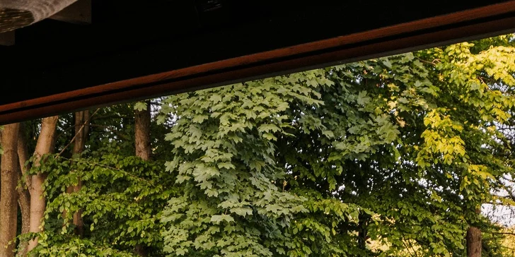 Polská Jura – skalní město, vinice a klid: krásný hotel s wellness, polopenze, 2 děti zdarma