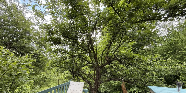 Pobyt v mini domečku u Zvolena s apiterapií: spánek u včel, snídaňový košík a výlety na elektrokolech