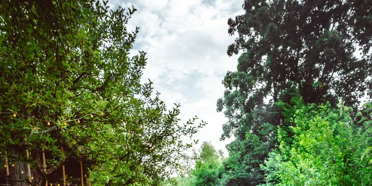 Pobyt v mini domečku u Zvolena s apiterapií: spánek u včel, snídaňový košík a výlety na elektrokolech