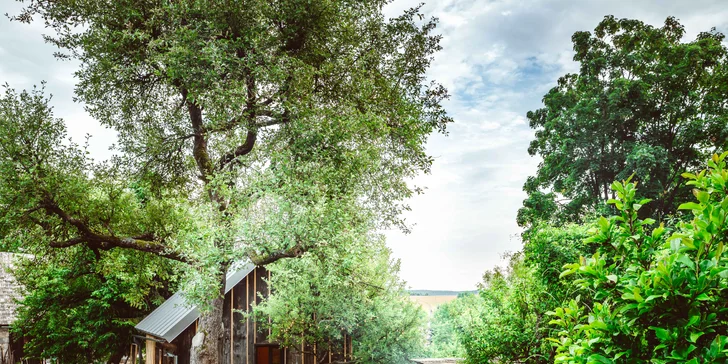 Pobyt v mini domečku u Zvolena s apiterapií: spánek u včel, snídaňový košík a výlety na elektrokolech