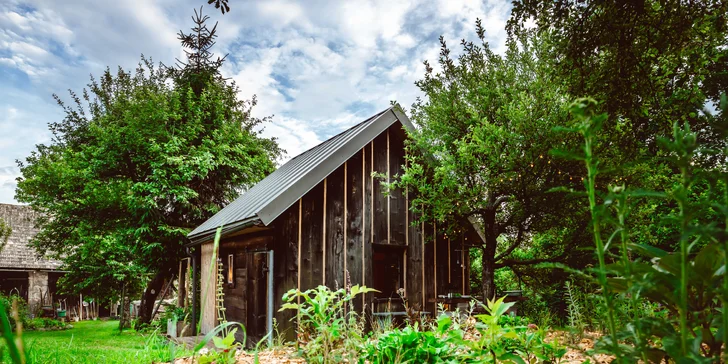 Pobyt v mini domečku u Zvolena s apiterapií: spánek u včel, snídaňový košík a výlety na elektrokolech