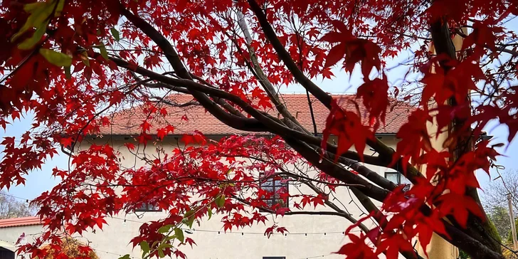 Snídaně pro 1 nebo 2 osoby v kavárně na Vyšehradě: farmářské dobroty, káva v ceně