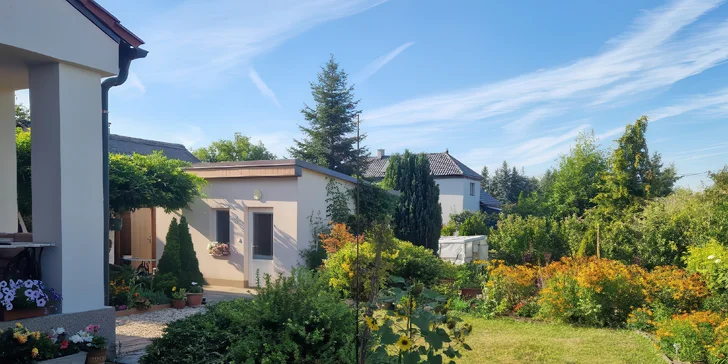 Thajské masáže: olejová, bylinková i královská či variant s peelingem