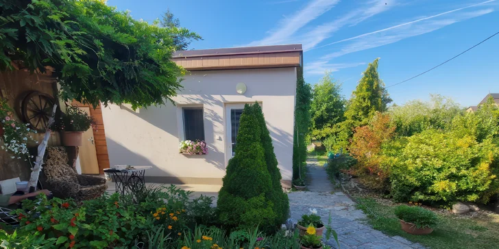 Thajské masáže: olejová, bylinková i královská či variant s peelingem