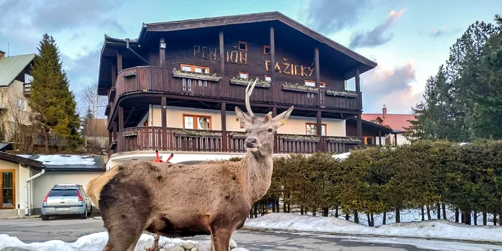 Odpočinek pro celou rodinu v klidném prostředí přímo ve Vysokých Tatrách