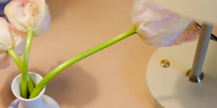 Kurz tvorby mozaiky v ateliéru na Vinohradech pro 1 nebo 2 osoby