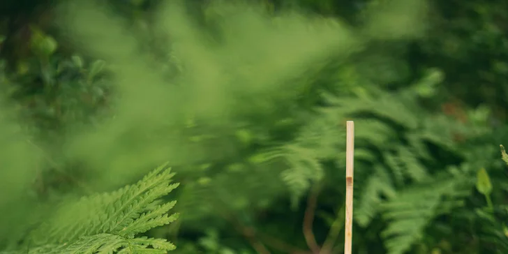 Boutique wellness resort u Opole: zátoka Bajka s písčitou pláží, strava i zábava pro děti