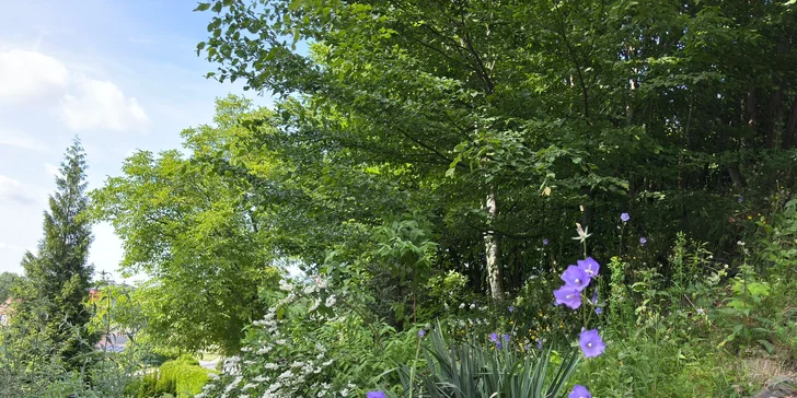 Pohodlí a klid v srdci Vřesiny: moderní bungalov až pro 5 osob, 18 km od Ostravy