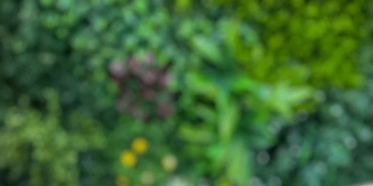 Otevřený voucher na jídlo i nápoje v nové kavárně RestArt Cafe: 500 Kč