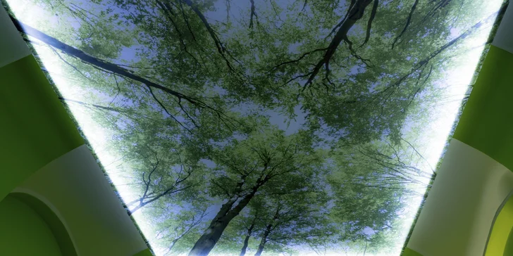 30-90 min. blaženého relaxu: masáž hlavy, obličeje či celého těla i lymfatická