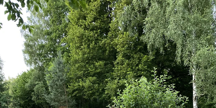 Odpočinek v podkrkonoší: útulný Tiny House pro 2 osoby