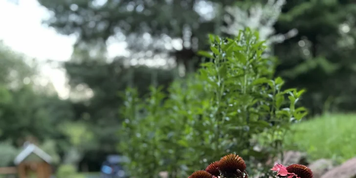 Odpočinek v podkrkonoší: útulný Tiny House pro 2 osoby