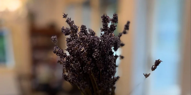 Romantické venkovské apartmány na severu Čech: možnost exkurze do sklárny i posezení v secesní kavárně