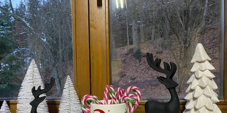 Odpočinek v podkrkonoší: útulný Tiny House pro 2 osoby