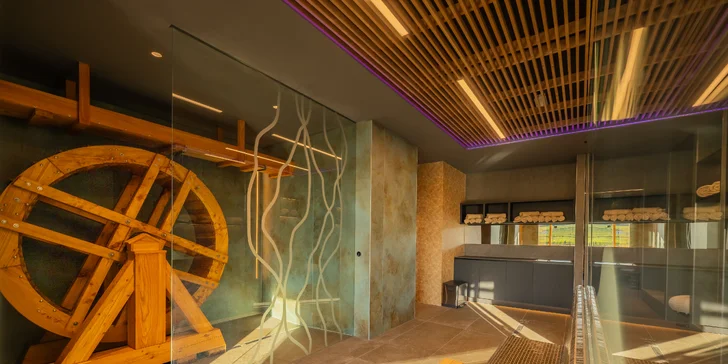 Vinařský pobyt ve vyhlášené oblasti Villány: strava, wellness a vstupy do lázní