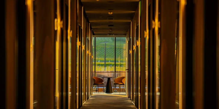 Vinařský pobyt ve vyhlášené oblasti Villány: strava, wellness a vstupy do lázní