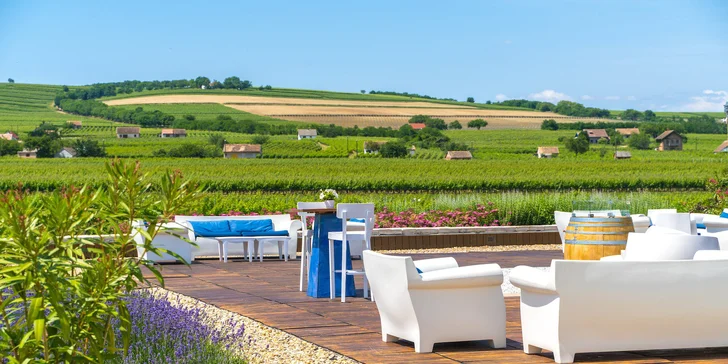 Vinařský pobyt ve vyhlášené oblasti Villány: strava, wellness a vstupy do lázní