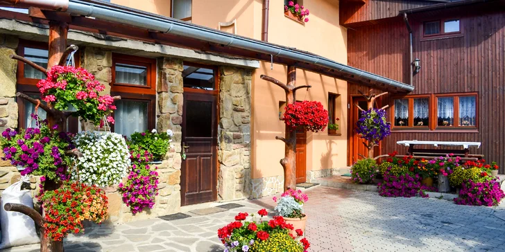 Pobyt v podhůří Tater: polopenze, možnost wellness i all inclusive nápojů