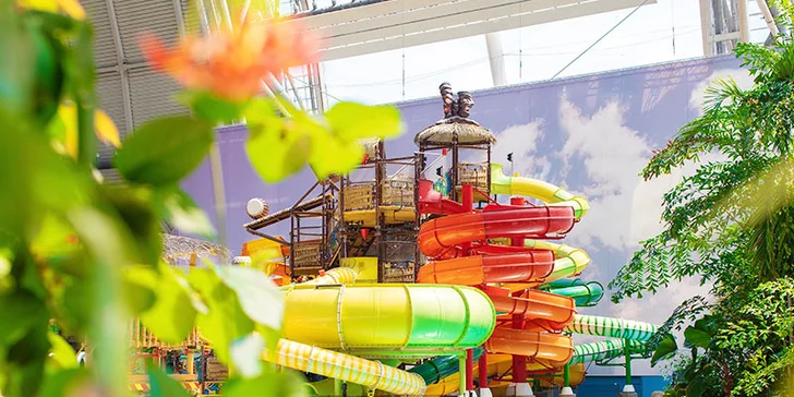 Výlet do Tropical Islands: doprava tam i zpět do největšího indoor plážového ráje v Evropě