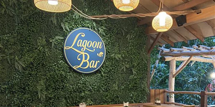 Výlet do Tropical Islands: doprava tam i zpět do největšího indoor plážového ráje v Evropě