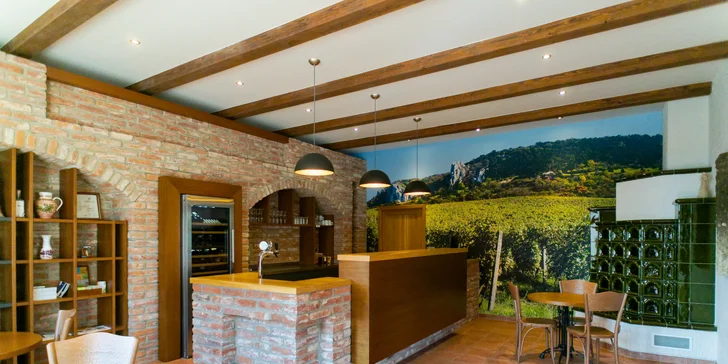 Pobyt ve vinařství v Klentnici: welcome drink i možnost snídaně