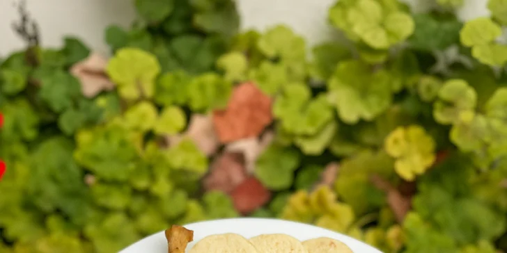 Svatomartinské hody: burger s trhaným, celá pečená husa i sladké lokše