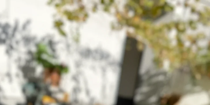 Svatomartinské hody: burger s trhaným, celá pečená husa i sladké lokše