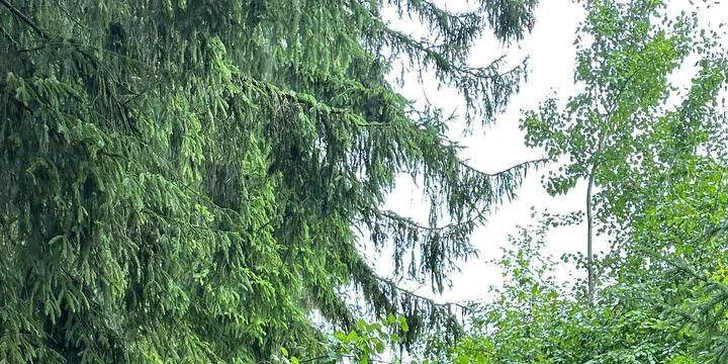 Až 120 min. vyjížďky na koni v přírodě či jízdárně i s focením pro 1 nebo 2 osoby