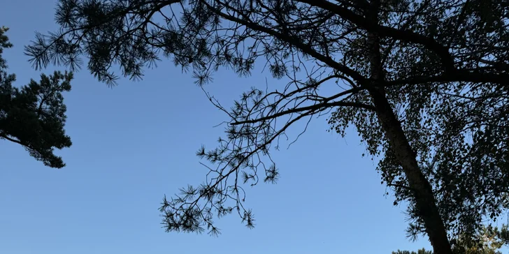 Navštivte slavné písečné duny v Łebě: apartmány u pláže, snídaně či polopenze