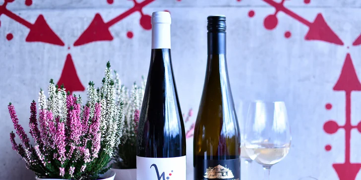 Tříchodové menu s kachním či krůtím prsem a lahví vína pro 2 osoby