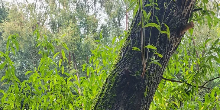 Romantická glampingová chatka u rybníku na Prostějovsku pro pár