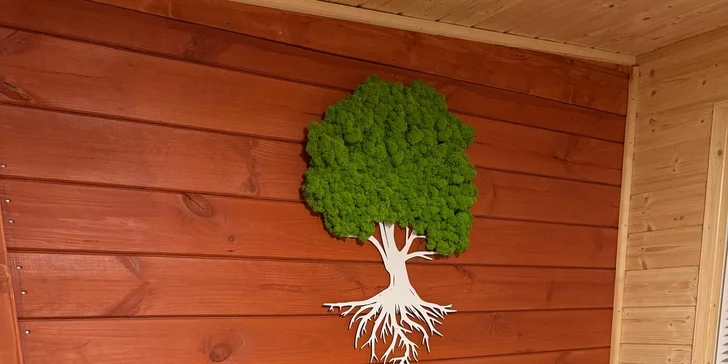 Romantická glampingová chatka u rybníku na Prostějovsku pro pár