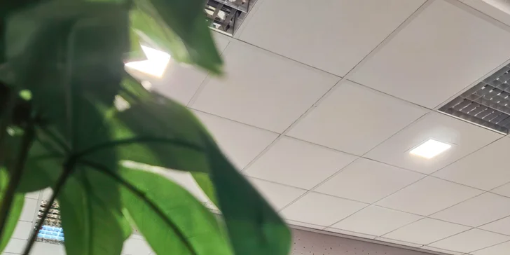 Hodina bowlingu a žebra nebo koleno s přílohami až pro 6 osob