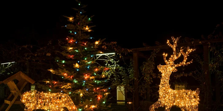 Vstupenky do osvětleného parku: Labyrinty světla, ráj srdce na Zámku Loučeň