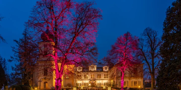 Vstupenky do osvětleného parku: Labyrinty světla, ráj srdce na Zámku Loučeň