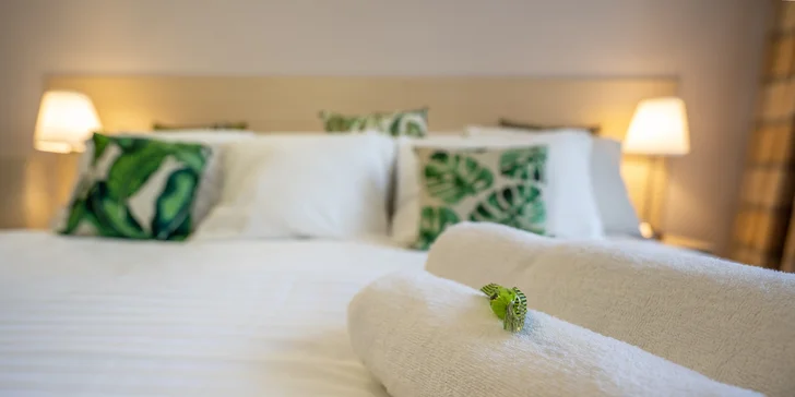 Pohodový pobyt v srdci lázeňského města Poděbrady s polopenzí a vínem