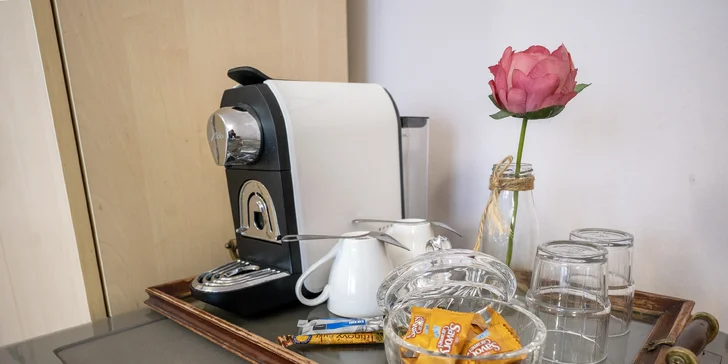 Pohodový pobyt v srdci lázeňského města Poděbrady s polopenzí a vínem