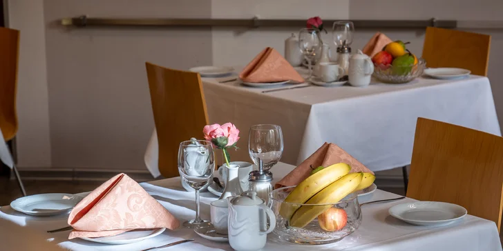 Pohodový pobyt v srdci lázeňského města Poděbrady s polopenzí a vínem