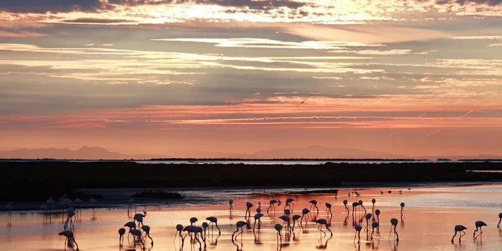 Provence: autobusový zájezd vč. hotelu, snídaně a bohatého programu