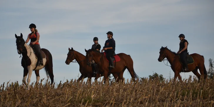 Hodinová jízda na koni pro začátečníky s instruktorem: pro 1 i 2 osoby