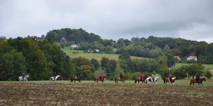 Hodinová jízda na koni pro začátečníky s instruktorem: pro 1 i 2 osoby