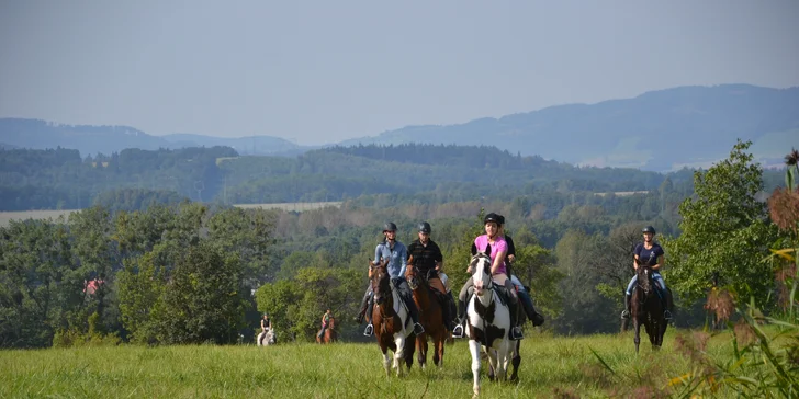 Hodinová jízda na koni pro začátečníky s instruktorem: pro 1 i 2 osoby