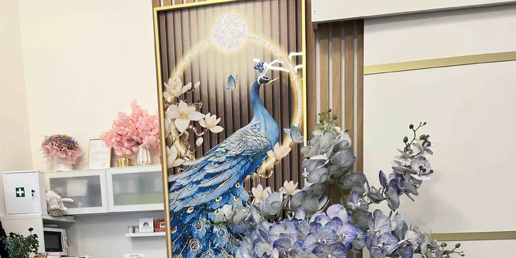 EMS trénink zaměřený na 1 nebo 2 partie i kombinace s maderoterapií