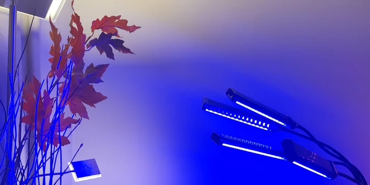 Balíčky plné relaxace pro 1 či 2 osoby: masáž, zábalová rukavice, vibrační plošina aj.